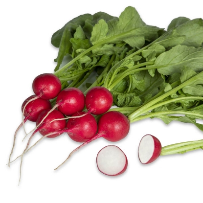 Picture of Radish Crunchy King F1